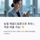 농협 채움드림론 신용카드 한도 금리 자격조건 신청방법