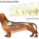 이루동물병원 이미지