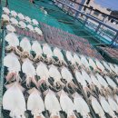 고흥전통시장 이미지