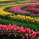 복내초교 이미지