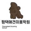 평택애견미용송탄점학원