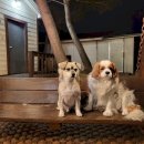 하늘N펜션 이미지