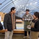 김포표고버섯농장 이미지