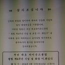강서금영 Daum카페