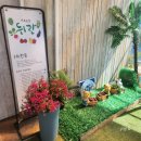 김포 자연 농장 | 김포 두돌아기와 가볼만한 곳. 치유농장 뒤란 (농부체험, 모래놀이, 물놀이)