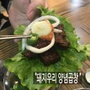 돼지우리곱창 이미지