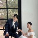 세호테일러