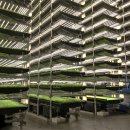 동향농장 이미지