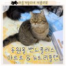 댕냥이집사몰 | 밴드플러스 혜택 총정리! 집사제품뿐 아니라 고양이 간식도 저렴하게 구매 가능
