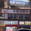호원여행사 이미지