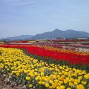 플라워가든 이미지