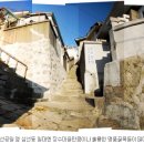 삼선공원 Daum카페