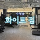 양재 | [화이트 짐] 양재 헬스장, PT 솔직후기