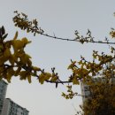 관악산현대홈타운 이미지