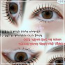 Feel뷰티 | 드디어 인생 속눈썹 만났어요! 청주 뷰티명소 정착 후기