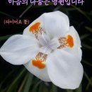 통일가든 이미지