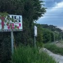 자연미림 이미지