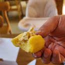 한서로 | 홍천 신상 카페 아이와 함께 가족여행 섬섬이네 후기