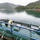 별다섯착한하우스 이미지