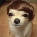 유리반점 | 공주 화양 반점 본점 맛집 추천, 유리청소 후기