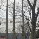 시흥시 전용배드민턴장 이미지