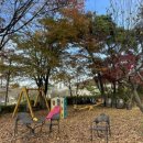 육품 무한갈비 이미지