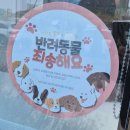 중앙펜션 | 전남 여수 '바다김밥 돌산직영점' (펜션,호텔근처) 상세후기 | 맛추천, 중앙본점 비교