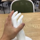 3D몬도
