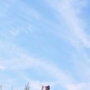 윤주농장 이미지