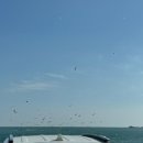 본가 딸부자 전복죽집 이미지