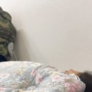 대림씨푸드 | 롤 / 파셀 메뉴 추천 스파이시 포카치아 / 대림바스 세면대 및 무광 수전 부분 인테리어 / 컴포즈 부여...