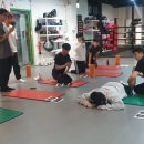 연수복싱체육관 네이버블로그