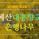 대흥 은행나무길 이미지