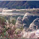 은사목장 이미지