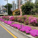 호원2동 행정복지센터 이미지