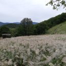 명성산 등산로 이미지