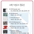 삼우토탈