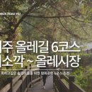 제주 올레길 6코스 산길이 무서운 초심자들을 위한 코스 추천