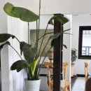 목향별관 이미지