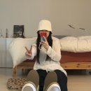 단델리온 이미지