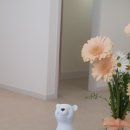 내몸에휴 이미지