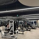 피트니스 리본 이미지