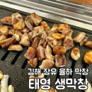 태영 | 김해 장유 율하 막창맛집 태영생막창 내돈내산 후기