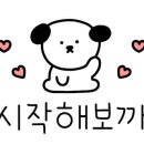 펫 드라이브 2 이미지