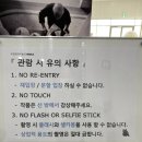 청주 국립현대미술관 피카소 도예 : 전시회 관람 후기