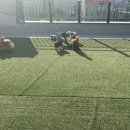 산책가까 이미지