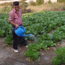 무봉농장 이미지