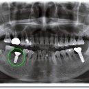 준치과기공소 이미지