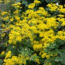 거암농장 이미지