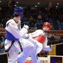 파란태권도 이미지